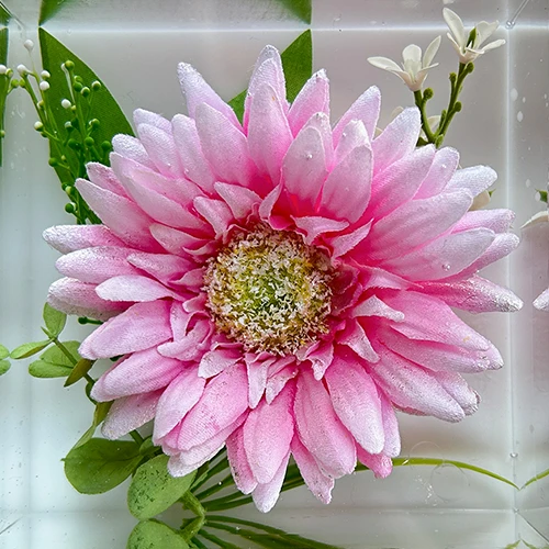 フラワーメモリアル