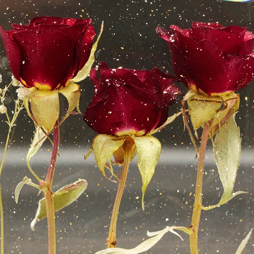 フラワーメモリアル